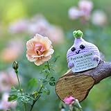 Zoom IMG-1 qyqkfly mini biglietto di auguri Zoom IMG-1 qyqkfly mini biglietto di auguri