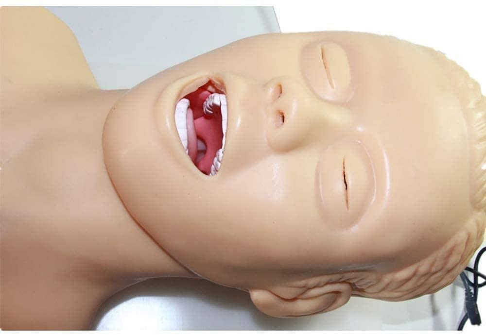 Istruttore per la gestione delle vie aeree, simulatore di manichino per intubazione nasale orale per addestramento medico, modello di studio di insegnamento, testa di intubazione per