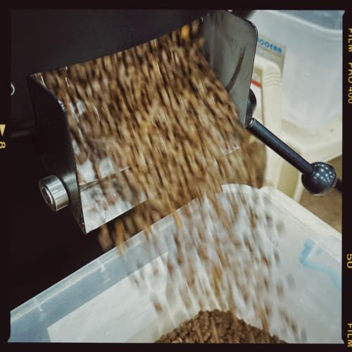 Image of Bili Hu Coffee, Whole Coffee Beans Gunibyle Estate, Arabica Blend, Medium Roast, (Pack of 1, 250 Gms)