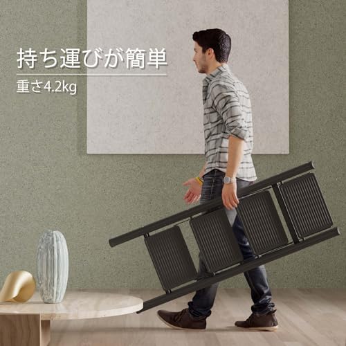 Ngardk 脚立 LD-111 の商品画像 3