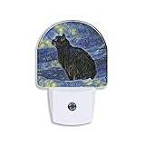Van Gogh Impressionist Art Painting Night Light Plug into Wall Shambhala Cat Nightlights for Boys Girls, Round Night Light with Dusk to Dawn Sensor 0.5W LED Night Light for Bedroom Ttoilet Staircase