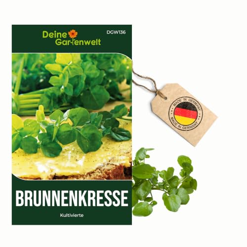 Brunnenkresse Kultivierte Samen - Nasturtium officinale - Brunnenkressesamen - Gemüsesamen...
