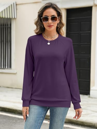 Syellowafter Womens Long Sleeve Shirts Crewneck Fall Tops Casual Loose Fit Basic Pullover Top3