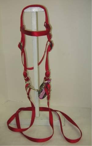 Miniature Horse/Small Pony Nylon Complete Bridle with Free BIT (Snaffle Style Varies) RED