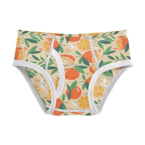 Boys' Exclusive Briefs Toddler Underwear 95% Combed Cotton Boxerbriefs 2T Orange Slices and Leaf Pattern 18
