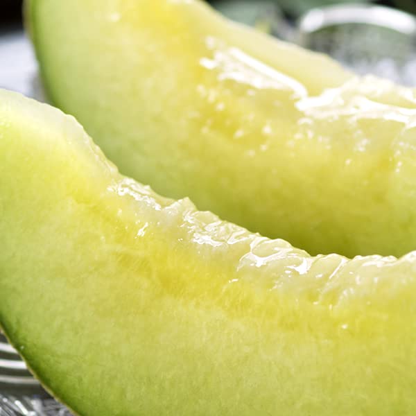 北のデリシャス 山形県産 庄内メロン 青肉 (秀品/1玉 1.5kg/常温品) 庄内砂丘 青肉 アンデスメロン お中元 ギフト 贈り物 お祝い プレゼント 果物 フルーツ お取り寄せ