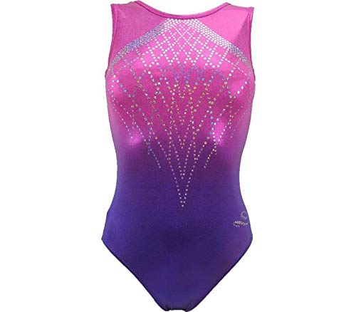Fushia Ombre mystiqye leotard