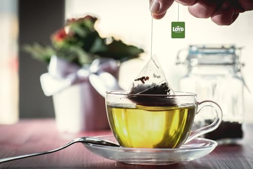 LOYD - Geschmack Der Welt - Grüner Tee mit Matcha Ananas & Kokosnuss - 20 Bio Pyramidenbeutel, Original, Japanisch mit Früchten, Hohe Qualität, Für Fokus, Energie, Kein Matcha-Besen Erfordelich - 34g