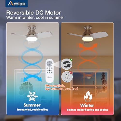 Image of Amico Ceiling Fans with Lights, 30 Inch Low Profile Ceiling Fan with Light and Remote Control, Flush Mount, Reversible, 3CCT, Dimmable, Noiseless, Silver Ceiling Fan for Bedroom, Indoor /Outdoor Use