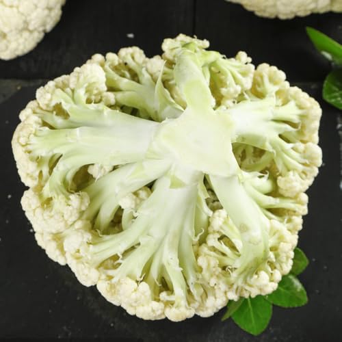 semillas de coliflor silvestre, orgánicas, exóticas. variedades antiguas, jardin balcon, 550pcs