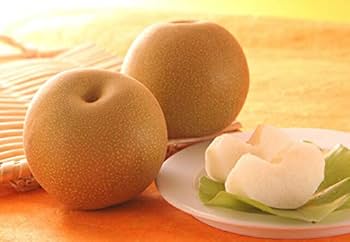 Mickey　5キロ2箱　幸水梨 幸水【5キロ】オンライン限定ふなっしー箱 | 芳蔵園オンライン