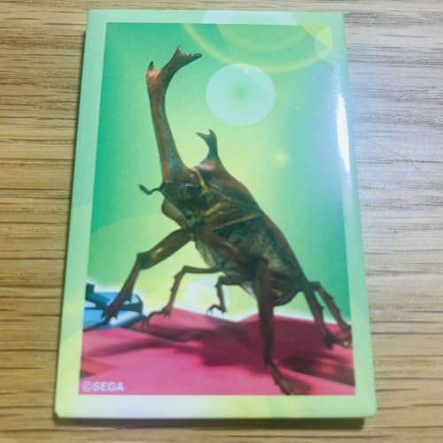 VLO g[fBOXNGAʃobW }C |bvAbv 20Nk