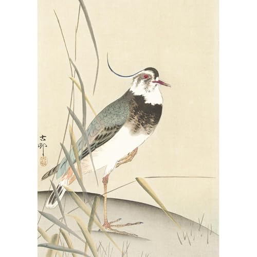 ROSSOGRAFICO  |X^[ ^Qƈ G { a  ͂炱 { A[g|X^[ A2