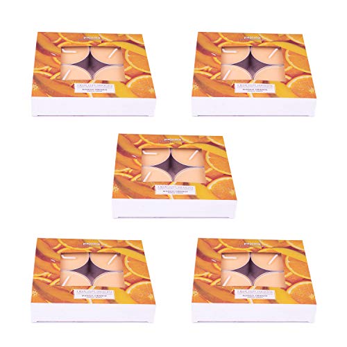 pajoma Maxi lumini mango arancione, confezione da 20 pezzi (5 x 4 pezzi Maxi lumini tealight)