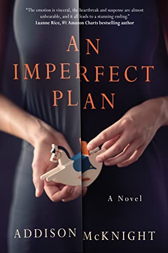 An Imperfect Plan view 2