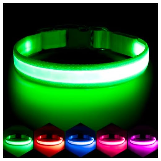 Vizpet LED Dog Collar, Light Up Dog Collar Adjustable USB Rechargeable Super Bright Safety Light Glowing Collars for Dogs(Medium,Green)