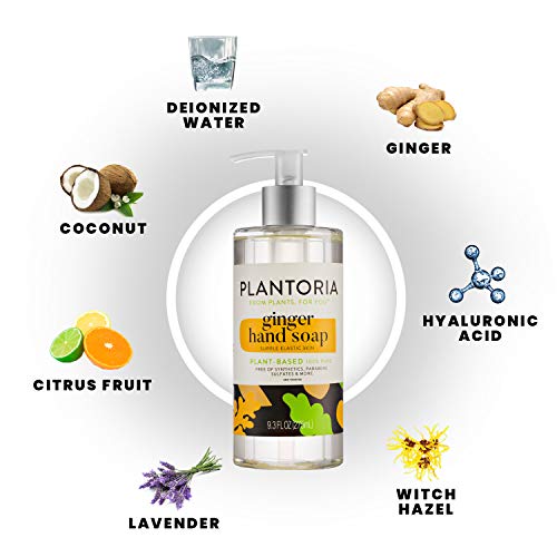 Plantoria Ginger Plant Based Hand Soap | Natural Organic Vegan Pure Antioxidant Rich | Deep Clean, Fade Scars, Improve Skin Elasticity With Ginger & Witch Hazel #TOP3