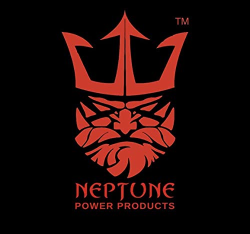 Neptune Power Products 1500W Car Power Inverter Dc 12V To 110V Ac Converter With 2 Charger Outlets And Dual 3.1A Usb Ports Cigarette Lighter Socket Adapter (1 Inverter) #TOP7