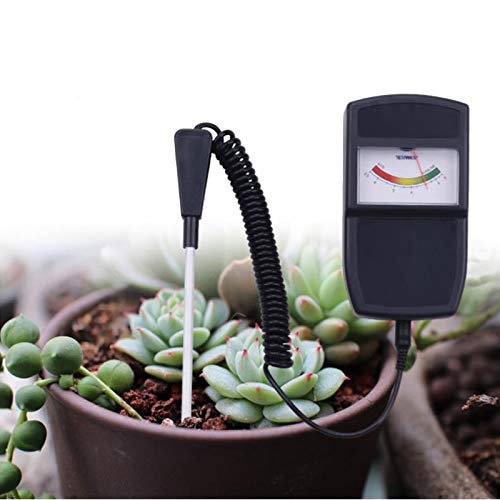 Acidité mètre analyseur numérique de terreau et testeur pH de plante de jardin
