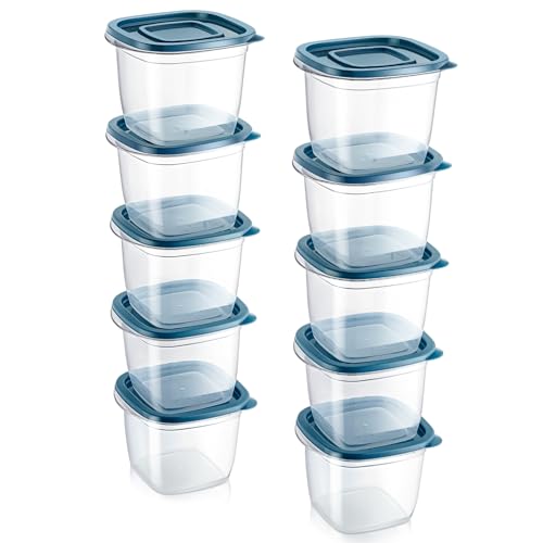 EFISH - EFISH 10pcs Boîte Rectangulaire En Plastique Avec Couvercle,Boîte De Stockage Des Aliments,Ensemble De Conteneurs,Stockage Des Aliments,Conteneur De Nourriture (10PCS - 650ml)