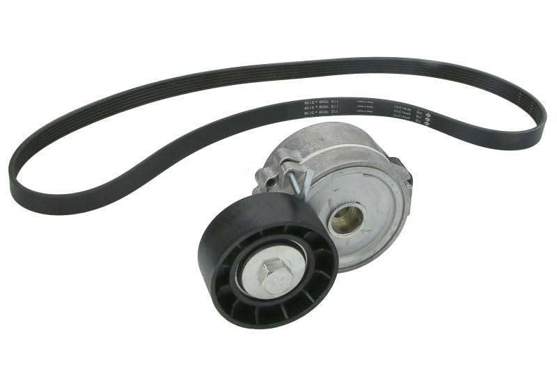 Jeu de courroies Ina 529 0315 10 trapézoïdales à nervures auto