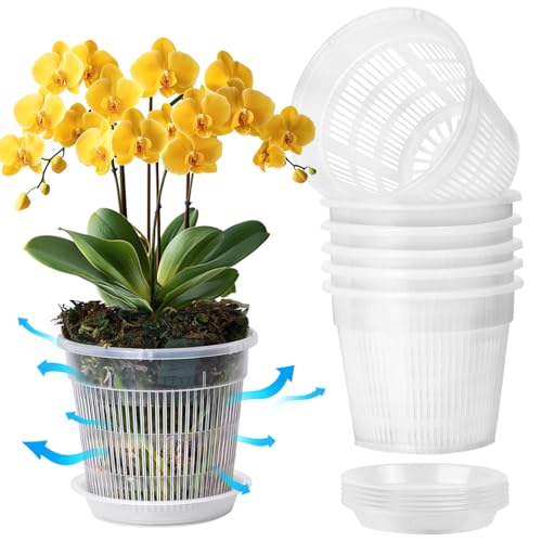 T4U Orchid Pot, 6 Pack 5.5 Inch Clear Orchid Pots with Holes and Saucers for Repotting, Plastic Flower Plant Pot with Drainage for Indoor Outdoor Plants, Slotted Orchids Planter for Root Health
