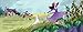 Saving the Countryside: The Story of Beatrix Potter and Peter Rabbit
