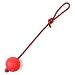 OFKPO 3PCS Juguetes Interactivos para Perros, Pelota de Goma Natural en Una...