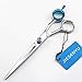 Produktbild Friseurschere, professionelle Friseurfrisur 6 Zoll 440C Japanische Haarschere Craft Bearing Long Fat Removal Set Styling-Tools für Friseure oder Zuhause