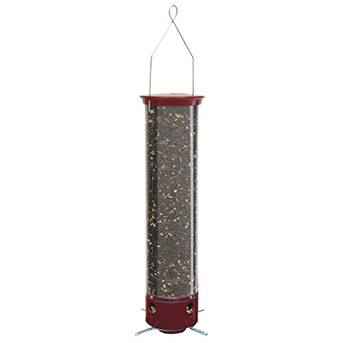 Droll Yankees YCPD90 Dipper Squirrel Proof Bird Feeder