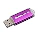 SIMMAX Memory Stick 64GB USB 2.0 Flash Drives Thumb Drive Pen Drive (64GB Purple)