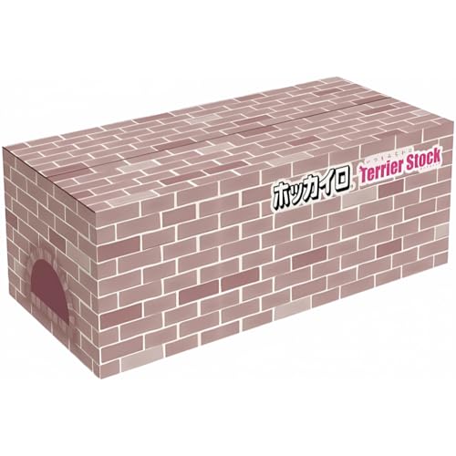 Hokkairo Sticking Regular la référence japonaise pour une chaleur constante 12h