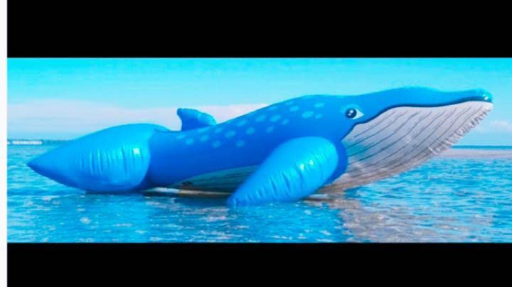 Amazon.co.jp: Horseplay ブルー くじらライドオン クジラフロート