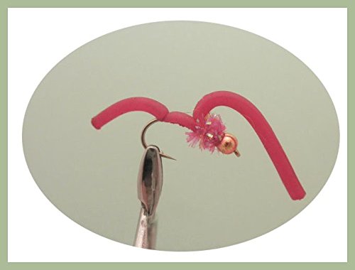 Squirmy Worm, Fishing Flies, 6 Pack Red Squirmy, Gold Bead, Size 10 Fly Fishing