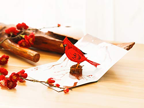 Liif Cardinal Bird 3D Greeting Pop Up Card, Winter, Christmas, Thanksgiving, Holiday Card, Fall, Xmas | With Message Note & Envelop | Size 7 X 5 #TOP4