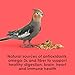 Kaytee Fiesta Cockatiel Food, Nutritious and Fun Blend, Supports Skin, Feather, Digestion, Brain and Heart Health, 4.5 pounds