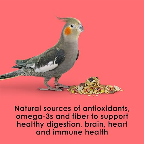 Kaytee Fiesta Cockatiel Bird Food, Nutritious Fun Blend, 4.5 Pounds | Foraging fun. Bird feed blend. Bird seeds, fruits, vegetables - image 7