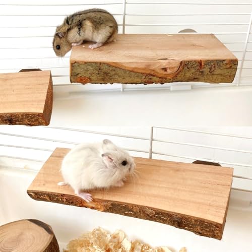 Image of 2Pcs Hamster Ledges Wooden Platform 2.6 x 6 Inch Rat Climb Platform Shelf Bird Perch Stand Toys Cage Accessories for Rat Gerbil Suger Glider