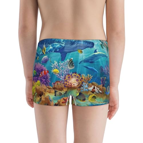 Boys' Cotton Boxer Brief Soft Underwear-Sea World3
