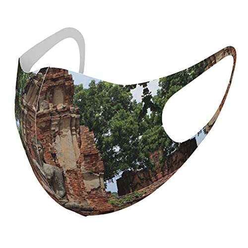 [igsticker] fUC }XN QZbg |GXe 􂦂 z}XN XLTCY 傫 jp 003295 ̑ ʐ^Ei N[ O ʐ^ iF i