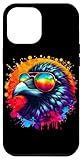 Raven Tie Dye Sunglasses Art Store