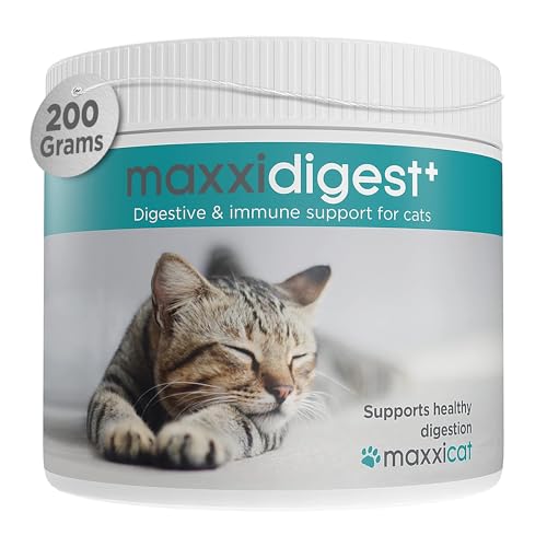 maxxicat - maxxidigest+ Probiotiques, prébiotiques et enzymes digestives pour Chats - Complément avancé pour Le système digestif et Le système immunitaire des Chats - Poudre sans OGM - Poudre 200 g