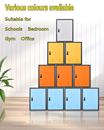 Kaer Locker Storage Cabinet,Lockable Storage Cabinet,Metal Locker Storage Cabinet With1 Doors, 19.6" H Cabinet Organizer, For School, Office, Home,Preschool,Garage,Storage Room- Assembly Required #TOP5