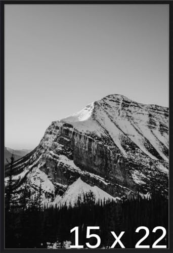 Frame It Easy 15 x 22 Satin Black Metal Frame (Ashford)