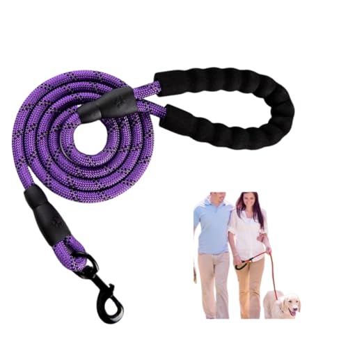 LIVIA 犬用リード 丈夫な愛犬用リード 長さ1.5m/2m/3mル犬用引きヒモ ペット用リード 牽引ロープ 訓練リード お出かけ 犬用首輪 犬用引きヒモ超快適丸ひも取っ手 反射光 通気性 散歩用 おしゃれ スタンダードリード 小/中/大型犬対応 (2m