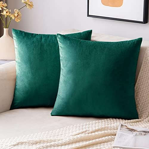EMEMA Velvet Cushion Covers Light Blue Decorative Throw Pillow Case 16x16 Inch 40x40 cm Pillow Covers for Livingroom Sofa Bedroom Pack of 2