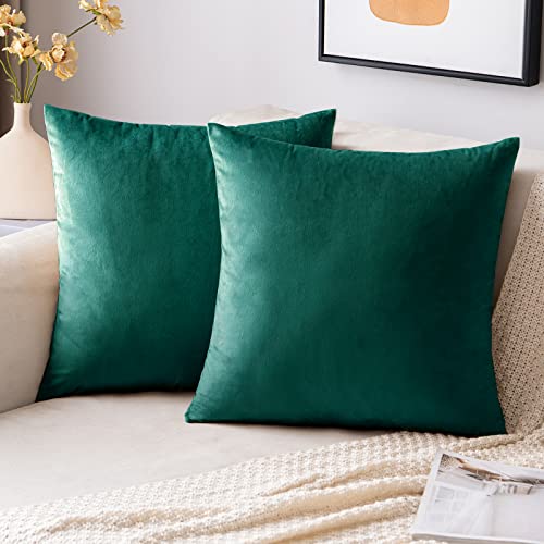 EMEMA Pack of 2 Velvet Christmas Throw Pillow Covers Decorative Square Pillowcase Soft Solid Cushion Case for Sofa Bedroom Chair Car 24x24 Inch Green