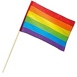 PARTY DISCOUNT Flagge Rainbow, 76 cm, 30x45 cm