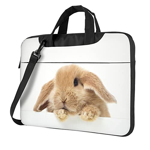 킢 p\RP[X 13-15.6C` h p\RobO Ռz m[gp\R P[X bvgbv X[u obO V_[Xgbvt PCP[X ʋ ʊw p\R rWlX 񂰃Jo jp  yʃRs