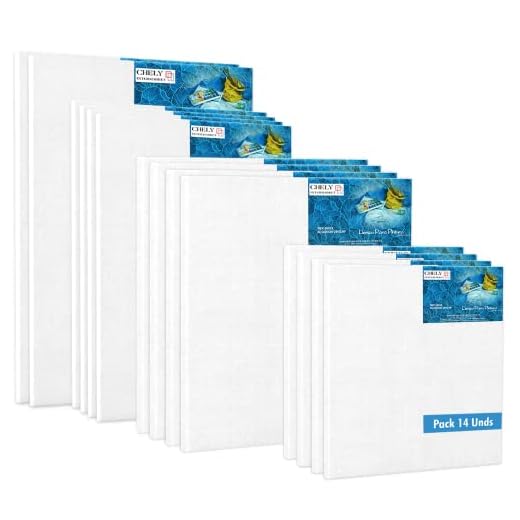 Chely Intermarket, Set de 14 lienzos para pintar 18x24(x4),24x30(x4),30x40(x4) y 50x70cm(x2) | Apto para óleo, acrílico o técnica mixta Pre-estirado 100% algodón/Libre de Ácido/Color blanco(560)